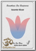 Gesamter Krper A4 (Farbig, Laminiert)