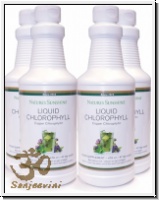 Chlorophyll / Viererpack / 1,9l
